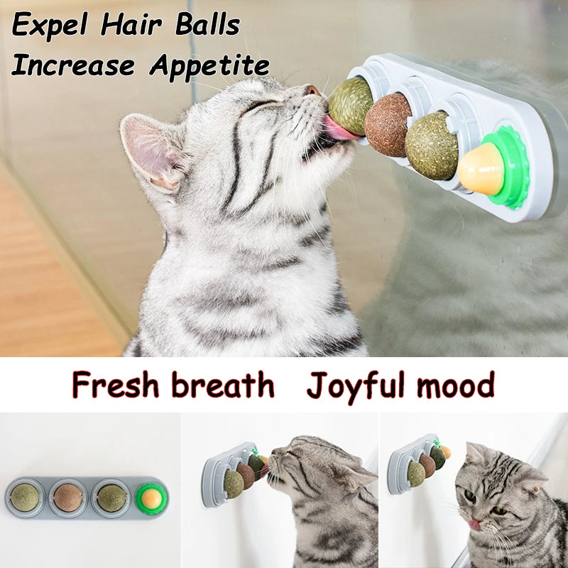 Natural Catnip Cat Wall Stick-on Ball Toy Scratchers Treats Healthy Natural