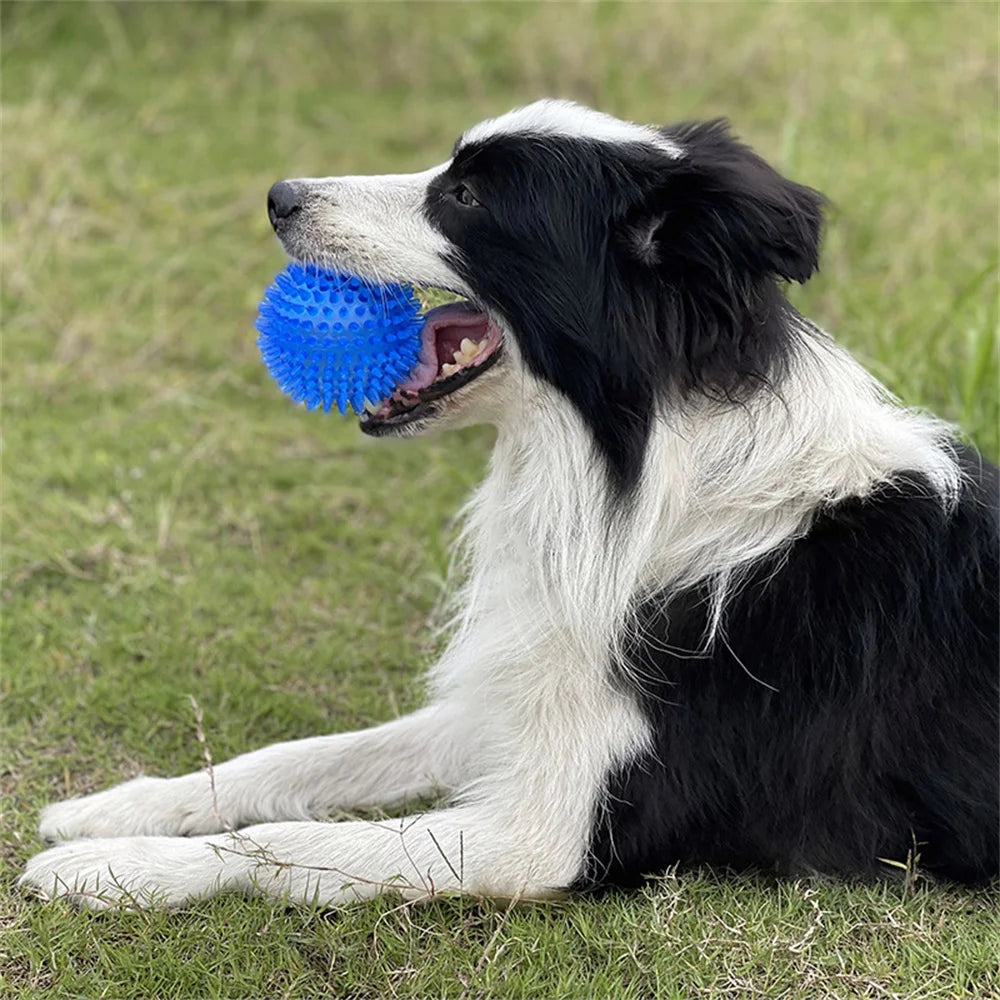 Dog-Cat toys Puppy Sounding Toy Polka Squeaky Tooth Cleaning Ball Training
