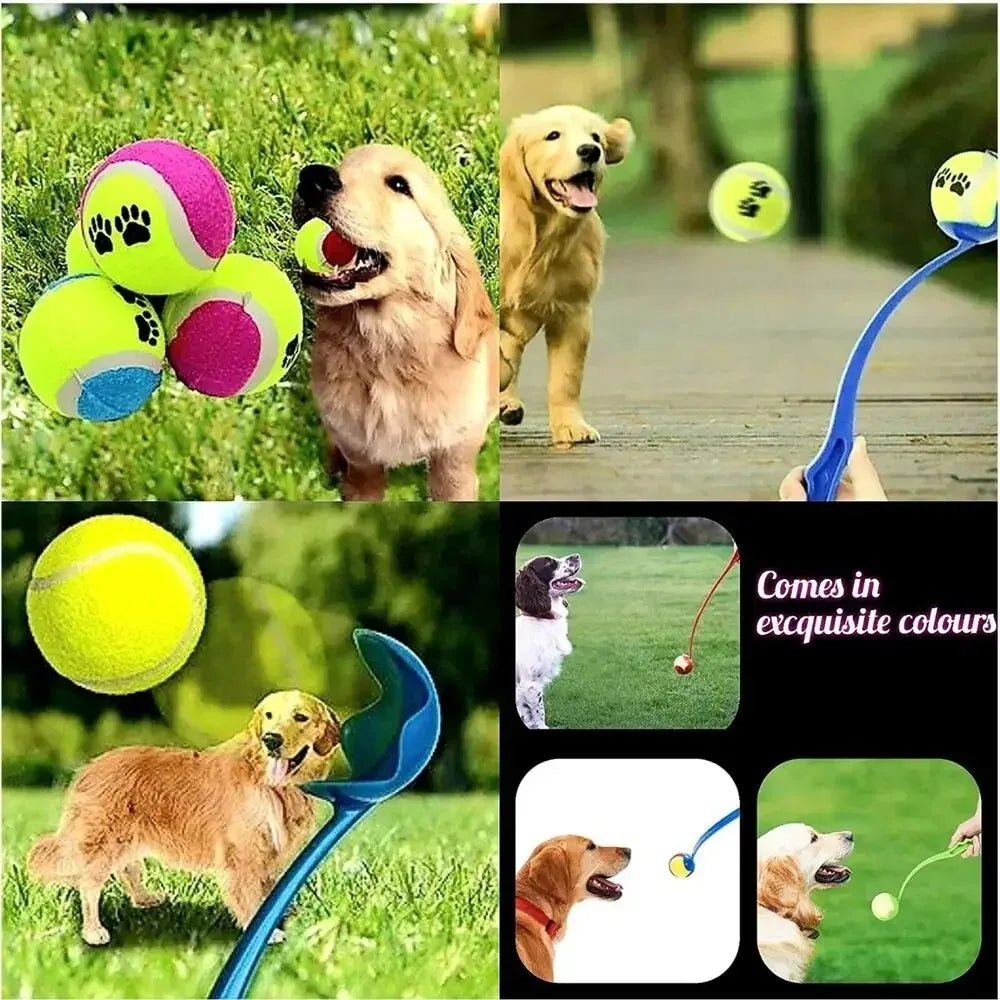 Hand Throwing Ball Toy for Pet Tennis Launcher Pole Outdoor Activities Dogs Training