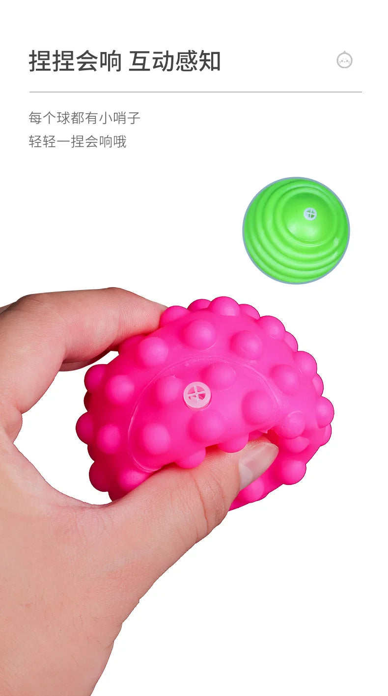 Pet Toys Sensory Balls for Dog