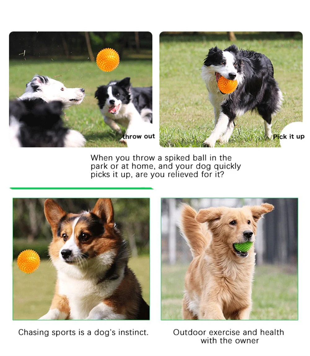 Dog-Cat toys Puppy Sounding Toy Polka Squeaky Tooth Cleaning Ball Training